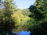 North Lake Golden Gate Park